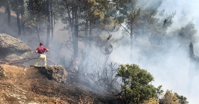 Manisa&#039;da ormanlık alanda yangın