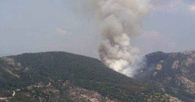 Milas’taki orman yangını kontrol altına alındı