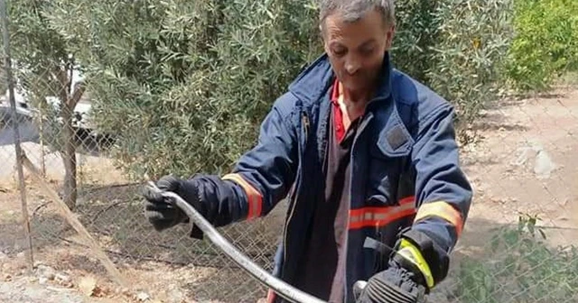 Mutfakta yılan paniği