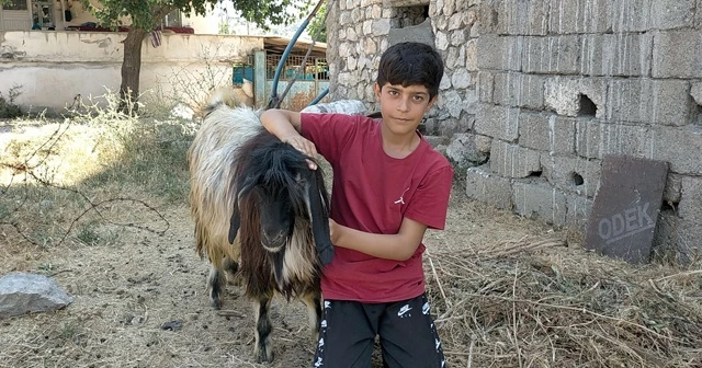 Ölen kuzusu için gözyaşlarına boğulan çocuk kazayı anlattı