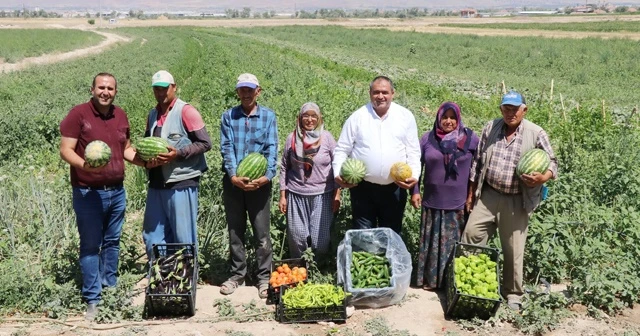 Olmaz denilen çorak topraklarda organik kavun karpuz yetiştirdiler