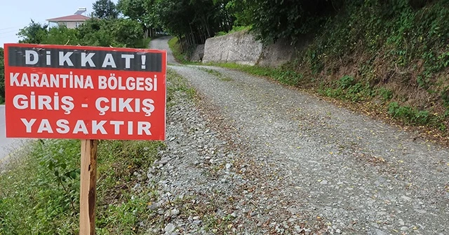Ordu'da iki sokakta karantina uygulanacak