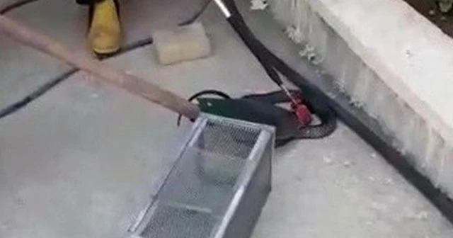 OSB’deki fabrikada yılan paniği