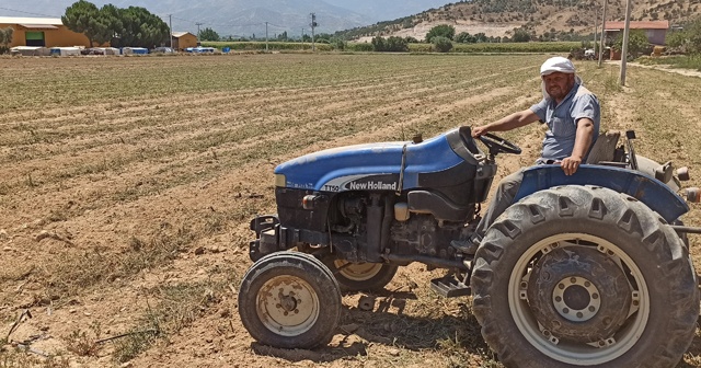 Salatalıkta ikinci ekim dönemi