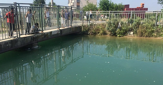 Serinlemek için sulama kanalına giren genç kayboldu