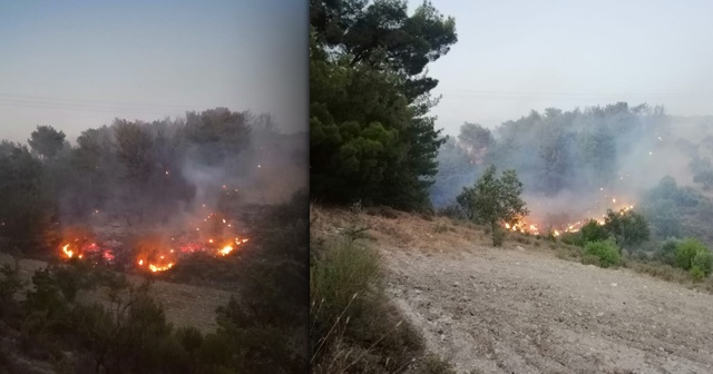 Soma&#039;da orman yangını: 1 uçak, 5 helikopter havadan müdahale ediyor