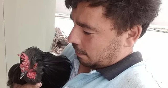Tavuk hobisi ölümüne sebep oldu