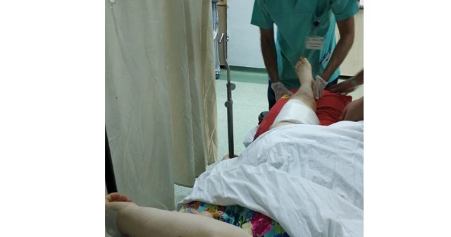 Tilkiye ateş etmek isterken kazara annesini vurdu