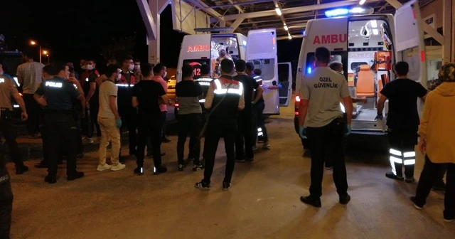 Yol verme tartışmasında 2 kardeş öldü