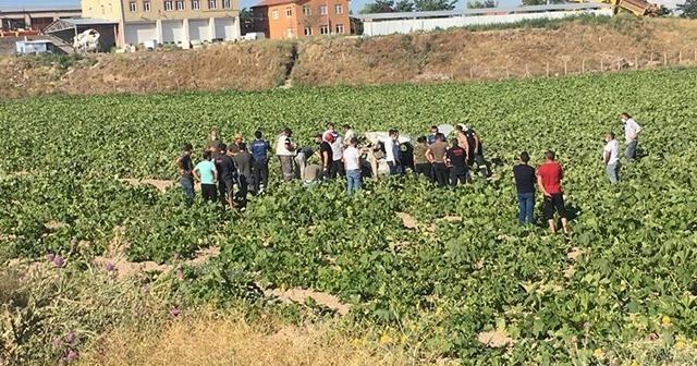 Yoldan çıkan otomobil kabak tarlasına uçtu