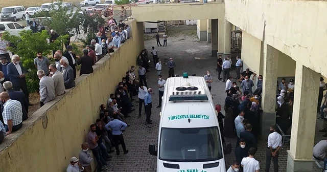Yüksekova'da yıldırım çarpması sonucu 1 kişi hayatını kaybetti