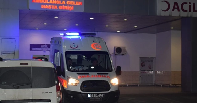 52 yaşındaki besici, tosun darbesi ile öldü