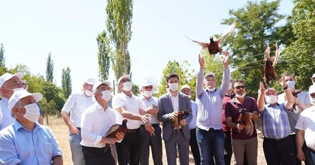 61 kişinin ölümüne neden olan keneleri yok etmek için yetiştirildiler