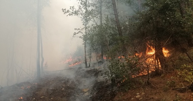 Adana&#039;da çıkan orman yangınında 3 kişi gözaltına alındı