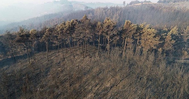 Adana&#039;daki orman yangınına havadan müdahale tekrar başladı