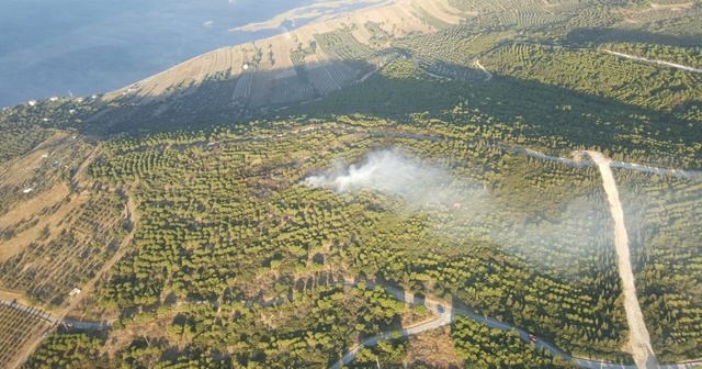 Aliağa’da çıkan orman yangını söndürüldü