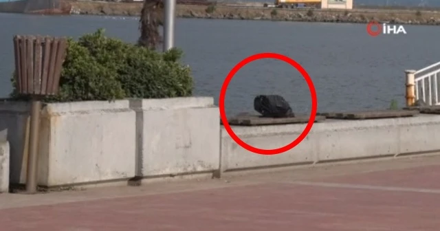 Alışveriş poşetini unutup gezince polisi alarma geçirdiler