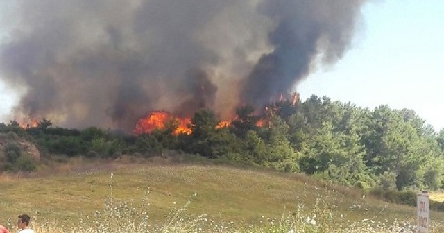 Antalya&#039;da çıkan makilik yangını söndürüldü