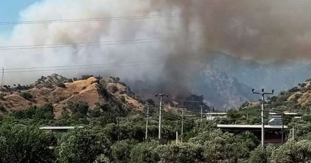 Aydın’da arazi yangını