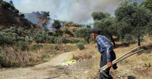 Aydın&#039;da zeytinlik ve incirlik alanda yangın çıktı