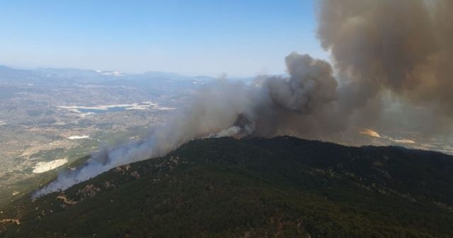 Aydın’daki yangınla ilgili 2 kişi gözaltına alındı