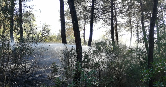 Aydos Ormanı&#039;ndaki yangın kontrol altına alındı