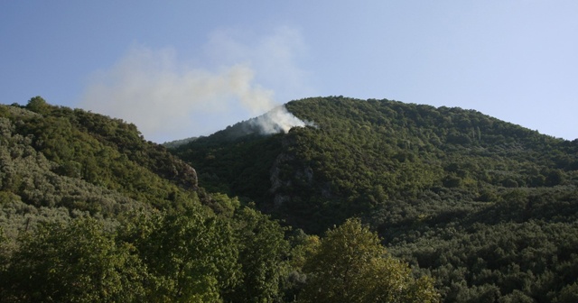 Bağ evindeki yangın ormanlık alana sıçradı