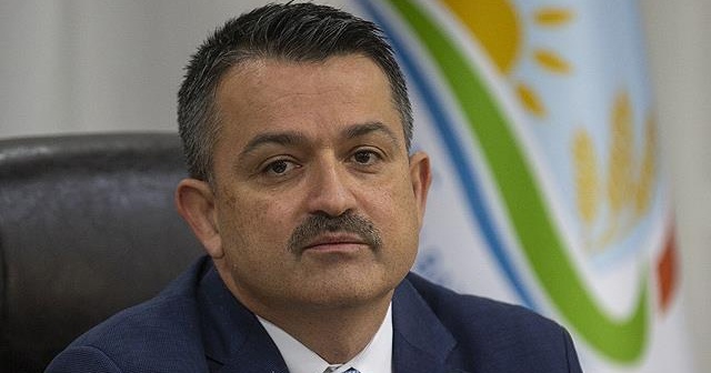 Bakan Pakdemirli: Giresun&#039;daki selde ağustos ayı ortalamasının 1,5 misli bir günde yağdı