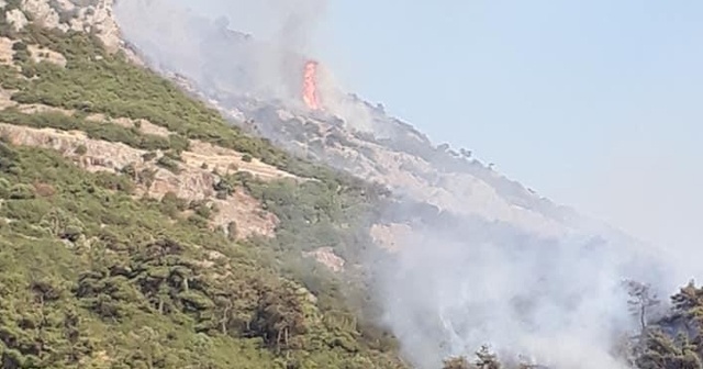 Balıkesir&#039;deki orman yangını kontrol altına alınamıyor