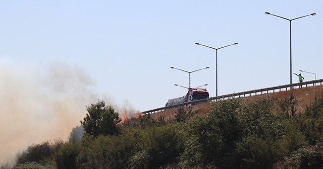 Bolu’da, TEM’in yanındaki 2 dönümlük alan alan alev alev yandı