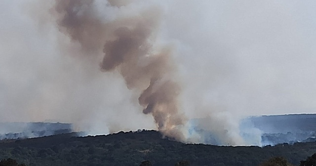 Bulgaristan’daki orman yangını katlanarak büyüyor