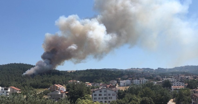 Bursa&#039;da orman yangını, alevler villalara yaklaşıyor