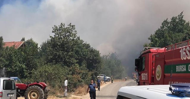 Bursa’daki orman yangınını çıkartan şüpheli gözaltına alındı