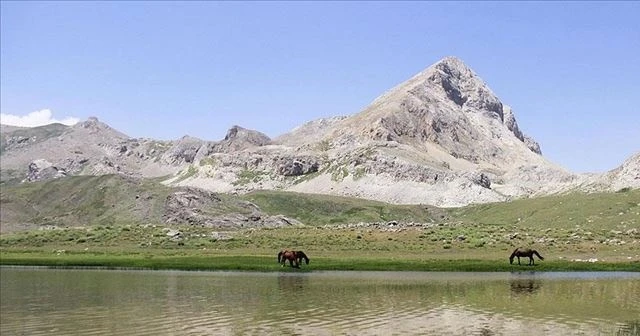 Doğa tutkunlarının uğrak adresi: Kepır Gölü