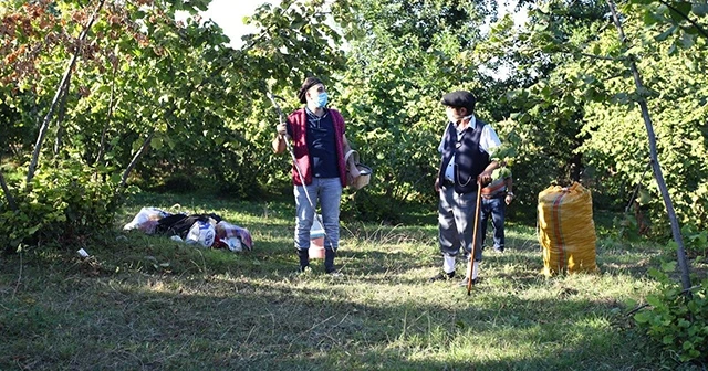 Eğlenceli fındık hasadı
