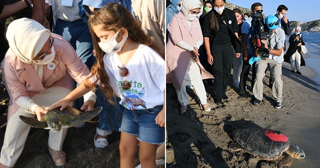 Emine Erdoğan, çip takılan caretta carettaları denize bıraktı