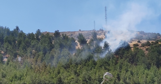 Gaziantep&#039;te orman yangını