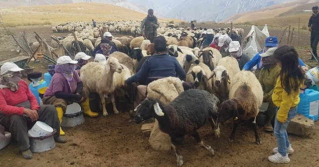 Hakkarili yaylacılar elektrik istiyor