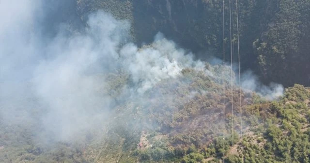 Hatay’daki orman yangınında 2 hektarlık alan zarar gördü