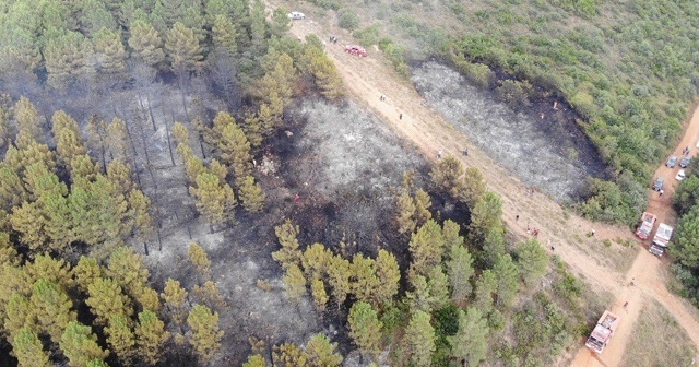 İstanbul&#039;da Aydos Ormanı&#039;nda çıkan yangın kontrol altına alındı
