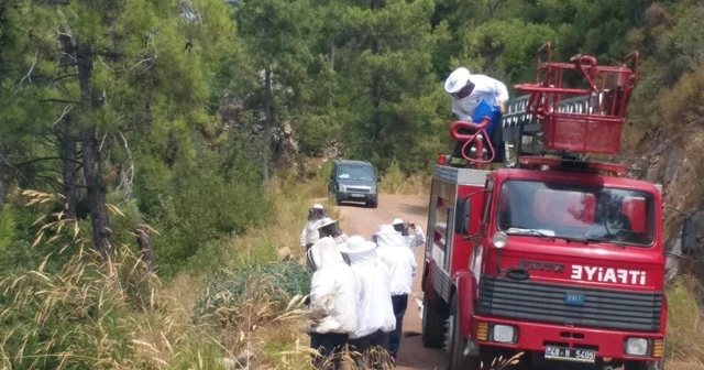 İtfaiye ekipleri bu defa arıların kızgınlığını gidermek için görev yaptı