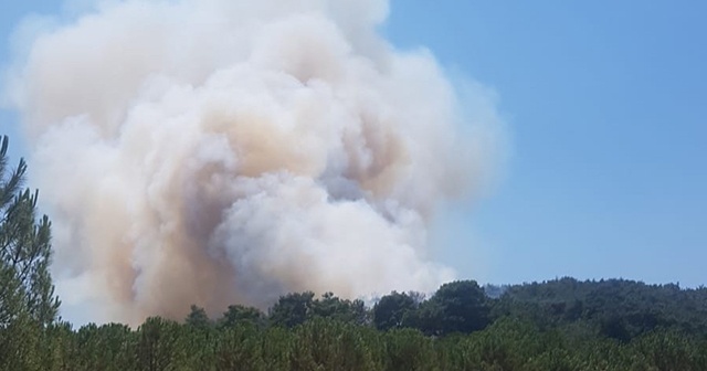 İzmir&#039;de bir orman yangını daha çıktı