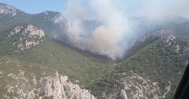 İzmir’de makilik alanda çıkan yangın kontrol altına alındı