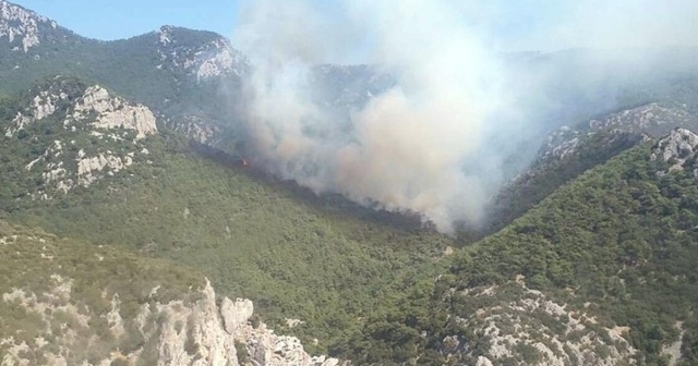 İzmir&#039;de orman yangını!