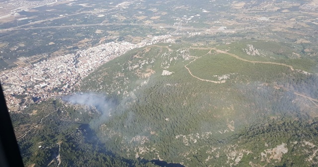 İzmir'de peş peşe orman yangınları