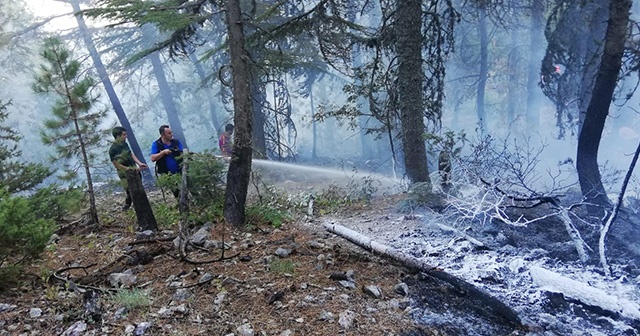 Kahramanmaraş orman bölge sınırlarında 155 yangın çıktı