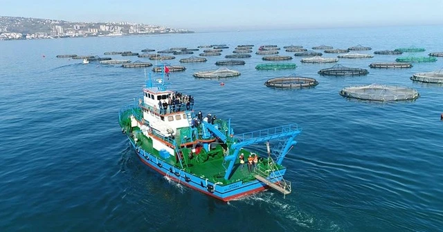 Karadeniz'in en çok ihracat gerçekleştiren ili Trabzon