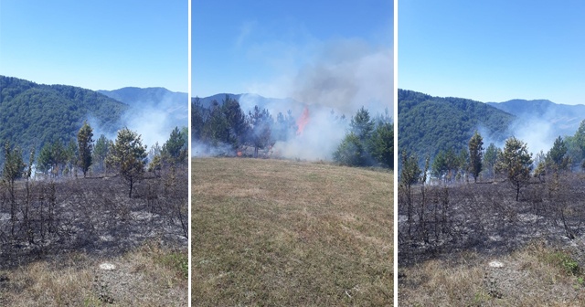 Kastamonu’da ormanlık alanda çıkan yangını köylüler söndürdü