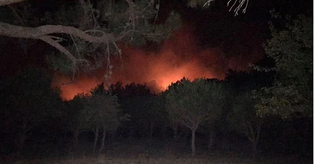 Kazdağları’ndaki yangını büyümeden söndürüldü