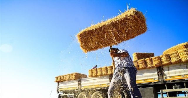 Konya Ovası&#039;nda balya işçilerinin zorlu ekmek mücadelesi